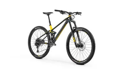 FOXY 29 2020