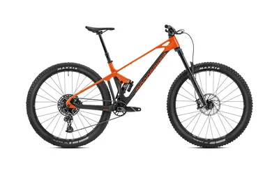 FOXY CARBON R 2023, תמונה 2
