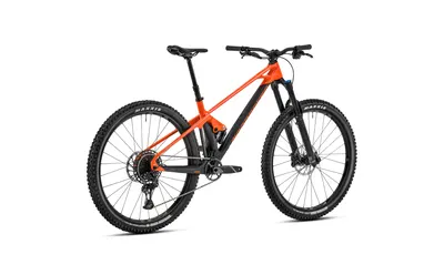 FOXY CARBON R 2023, תמונה 3