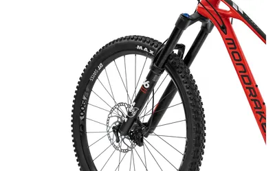 FOXY CARBON R 29 2020, תמונה 5