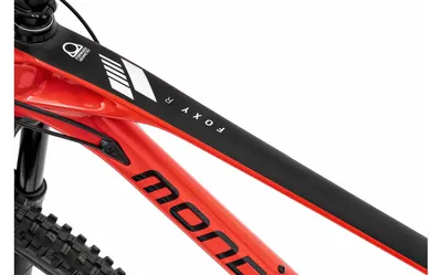 FOXY CARBON R 29 2020, תמונה 6