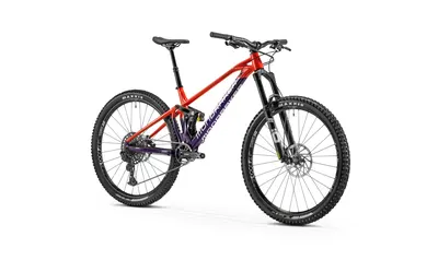 FOXY R 2022