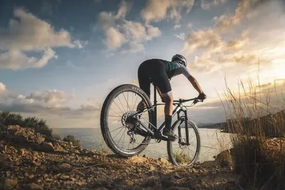 PODIUM CARBON 2023, תמונה 5