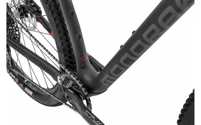 PODIUM CARBON R 29er 2020, תמונה 5