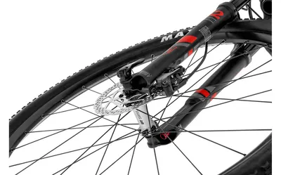PODIUM CARBON R 29er 2020, תמונה 6