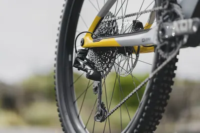 RAZE CARBON RR 2022, תמונה 6